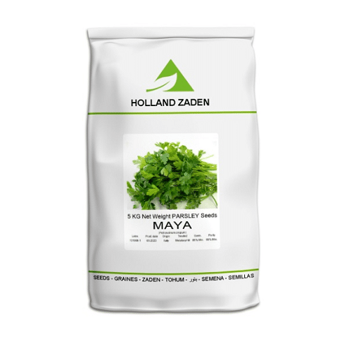 بذر جعفری مایا هلندزادن هلندی پاکت ۵ کیلویی